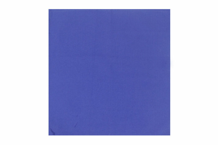 Blue Passion Peçete 2li 45x45cm