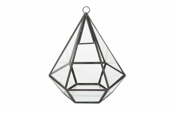 Pentagon Teraryum 19cm