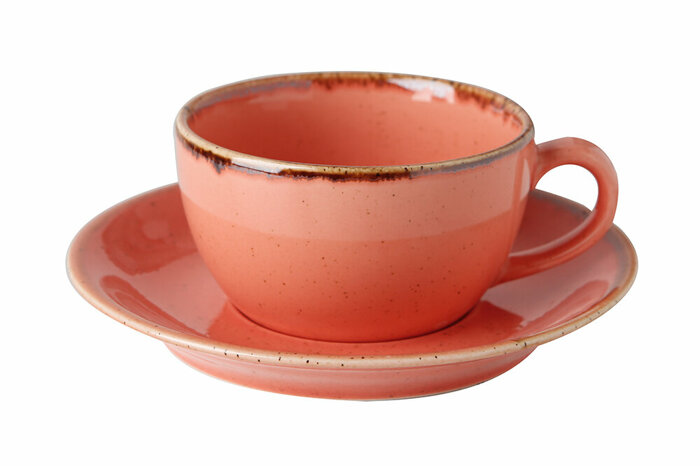 Seasons Turuncu Tabaklı Çay Fincanı 207cc