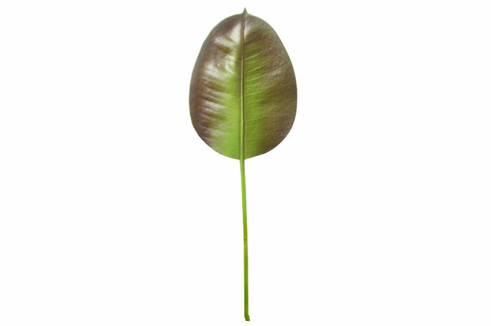 Tek Oak Leaf Koyu Yeşil Yapma Çiçek 57cm